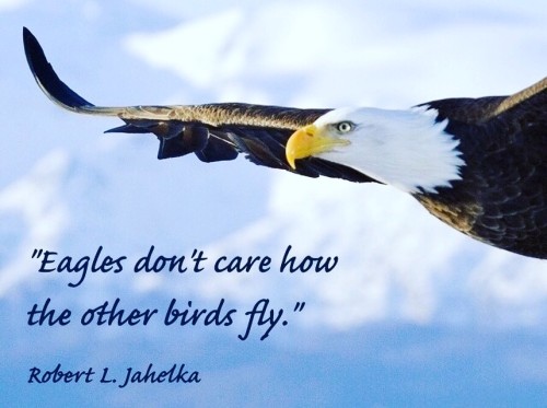 Eagles Don't Care